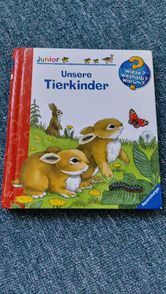 Unser Kindergarten Wieso? Weshalb? Warum? Unser Tierkinder Buch in Gummersbach