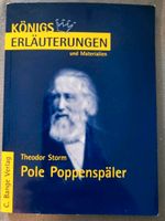 Lektürehilfe Pole Poppenspäler Königs Abitur Deusch Klausuren Nordrhein-Westfalen - Wilnsdorf Vorschau