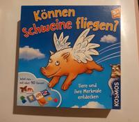 können Schweine fliegen  Das Spital Niedersachsen - Ilsede Vorschau