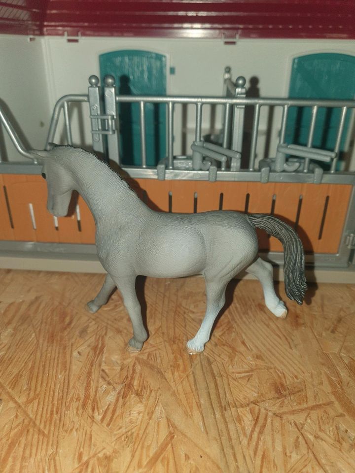 Schleich Trakehner Stute (2018) in Wiednitz