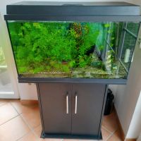 Aquarium Aufgabe / Juwel / Filter / Unterschrank / Zubehör Nordrhein-Westfalen - Alpen Vorschau