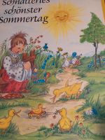 Schnatterles schönster Sommertag von 1977 Bayern - Lauingen a.d. Donau Vorschau