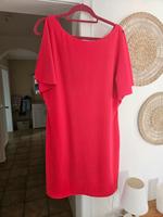 S.oliver Kleid Gr. 40 Nordrhein-Westfalen - Leopoldshöhe Vorschau