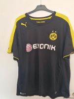 BVB Borussia Dortmund Trikot Gr. 4XL Saison 13/14 Nordrhein-Westfalen - Unna Vorschau