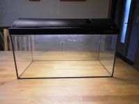 Aquarium Waterhome 60 x 30 Nordrhein-Westfalen - Wesel Vorschau