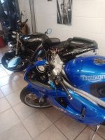 Triumph Daytona und Speed Triple Sammlerstücke/Tausch Nordrhein-Westfalen - Rheinberg Vorschau