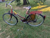 Pegasus Fahrrad Damenfahrrad 28 Zoll Baden-Württemberg - Baienfurt Vorschau