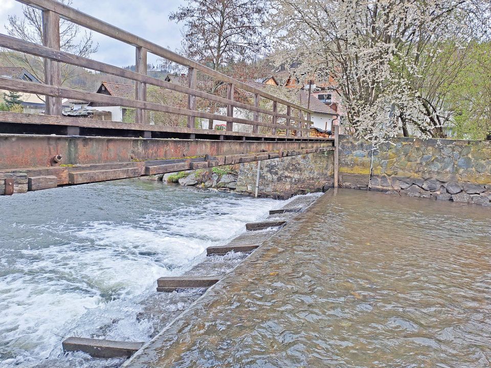 Wohnen an der "wilden" Rodach in Wallenfels