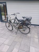 E-Bike Elektrofahrraden Koga Miyata Dammen und Herren Niedersachsen - Lohne (Oldenburg) Vorschau