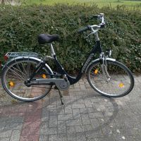 Pegasus Damen Fahrrad Niedersachsen - Papenburg Vorschau