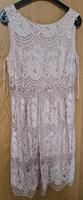 NEU mit Etikett Damen Kurzes Abendkleid Kleid Rosa 40 Bayern - Neutraubling Vorschau
