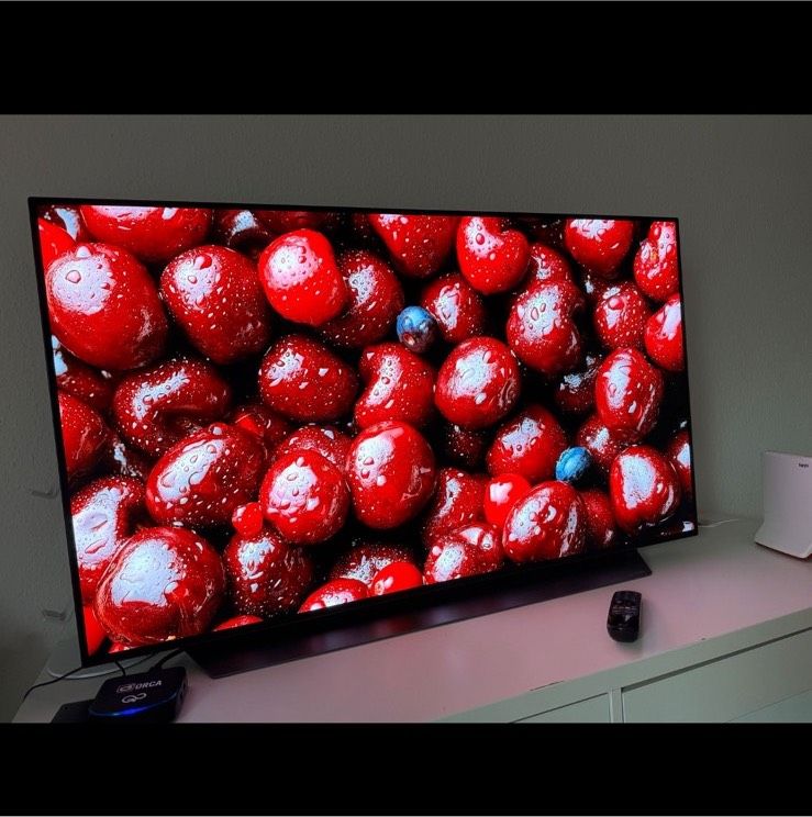 LG OLED48C17LB TV 48 Zoll OLED Fernseher HDMI 2.1 / 120Hz Gaming in Bremen  - Hemelingen | Fernseher gebraucht kaufen | eBay Kleinanzeigen ist jetzt  Kleinanzeigen