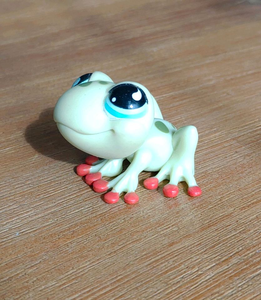 Littlest Pet Shop LPS Spielfigur Spielzeug Frosch frog in Hockenheim