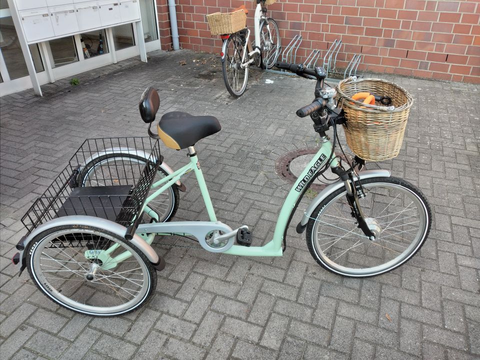 E-Bike Dreirad in Schöneiche bei Berlin