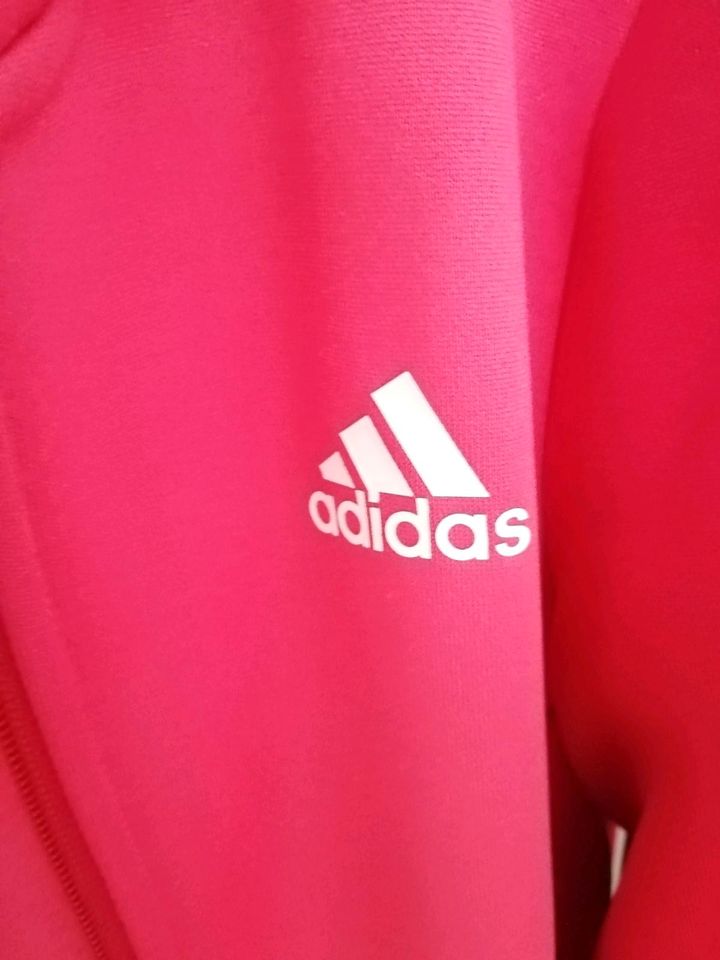 Adidas Sportjacke in Minden