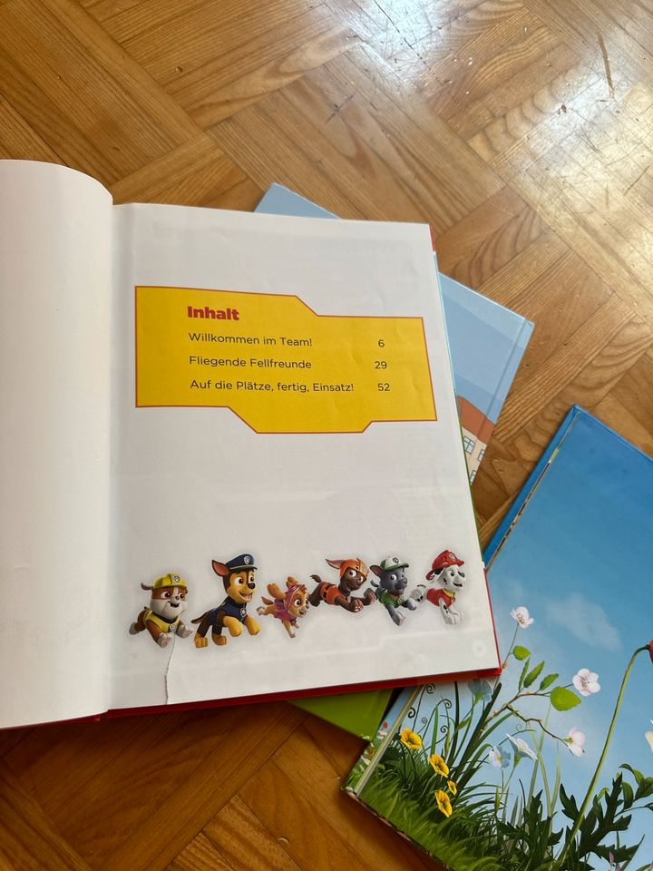 Paw Patrol / Biene Maja / Straßengeschichten Bücher in Donzdorf