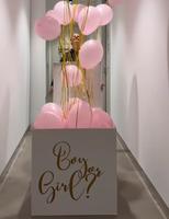 Gender Reveal party Berlin - Köpenick Vorschau