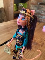 Monster High Puppe Freaky Fusion Cleolei Rheinland-Pfalz - Böhl-Iggelheim Vorschau