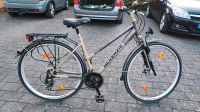 Damen Fahrrad 29 Zoll Hessen - Waldbrunn Vorschau