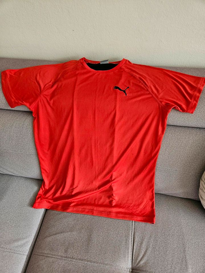Puma Sportshirt T-Shirt Herrenshirt Sportoberteil in Oberschleißheim