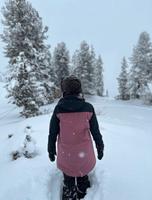 Burton Snowboardjacke Goretex / Skijacke Gr. M München - Au-Haidhausen Vorschau