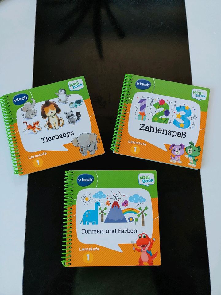 Vtech MagiBook Starterset grün + Lernbücher in Leipzig