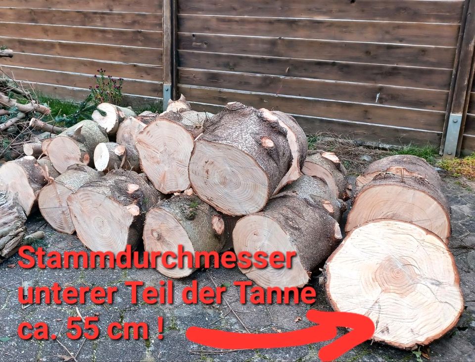 Brennholz Nordmanntanne und Haselnuss in Lilienthal