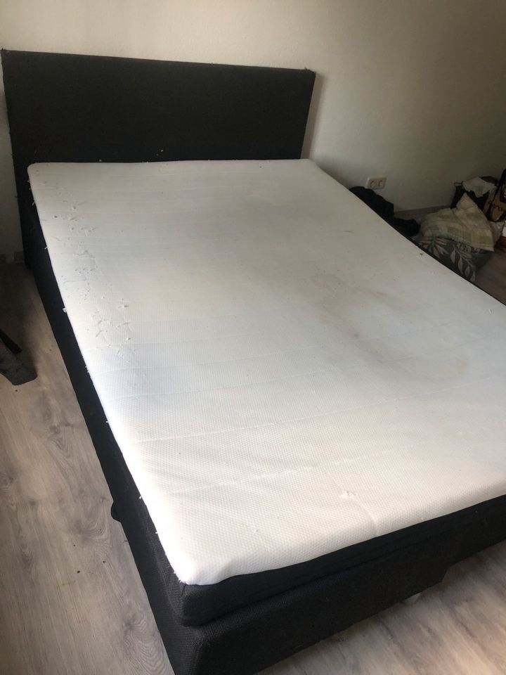 Boxspringbett 180x200 in Dessau-Roßlau