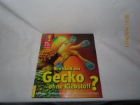 Wie klebt der Gecko ohne Klebstoff? Verblüffende Techniken ... Hansestadt Demmin - Stavenhagen Vorschau