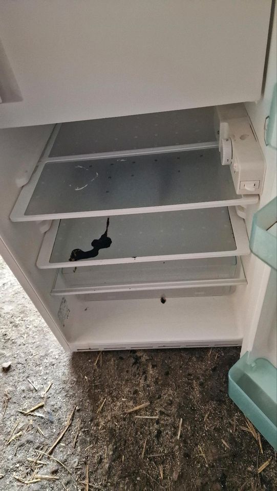 Siemens unterbaukühlschrank Kühlschrank in Kevelaer