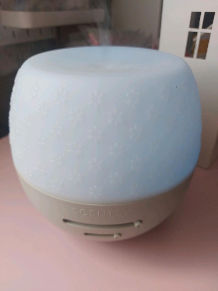 Scentsy Deluxe Diffuser "Fleur Grey" in Dortmund