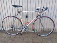 Vintage Rennrad Olmo komplett Shimano 600 Top Zustand Nordrhein-Westfalen - Gelsenkirchen Vorschau