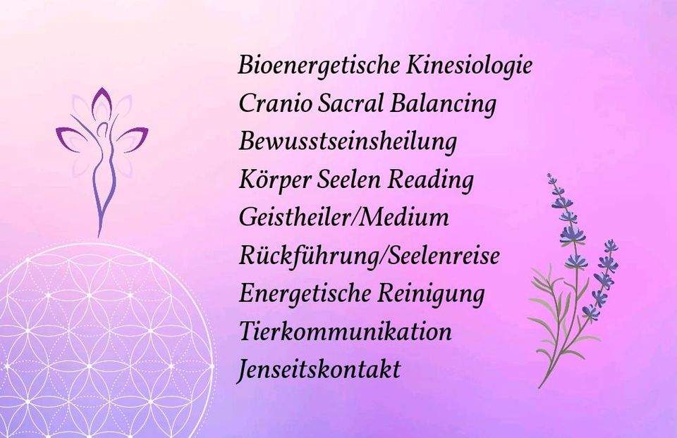 NEU Bioenergetische Kinesiologie & Cranio Sacral Balancing Tiere in Mehring