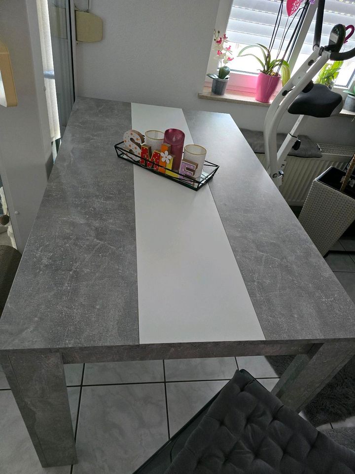 Esstisch betonfarbe/grau weiß in Hamm