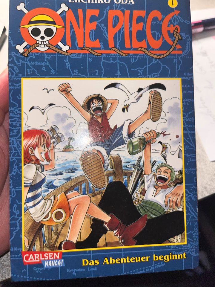 Manga’s von One Piece, Naruto, Dragonball, Spy X Family in Duderstadt