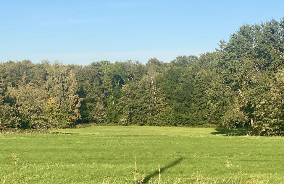 Einfamilienhaus mit separatem Acker- und Wiesengrundstück in Plotzen in Hochkirch