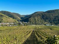 Verpachtung Weinberg Zell-Kaimt Römerquelle / ZSK ca. 1.500qm Rheinland-Pfalz - Zell (Mosel) Vorschau