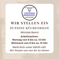Putzfee / Küchenhilfe gesucht Bayern - Langenmosen Vorschau