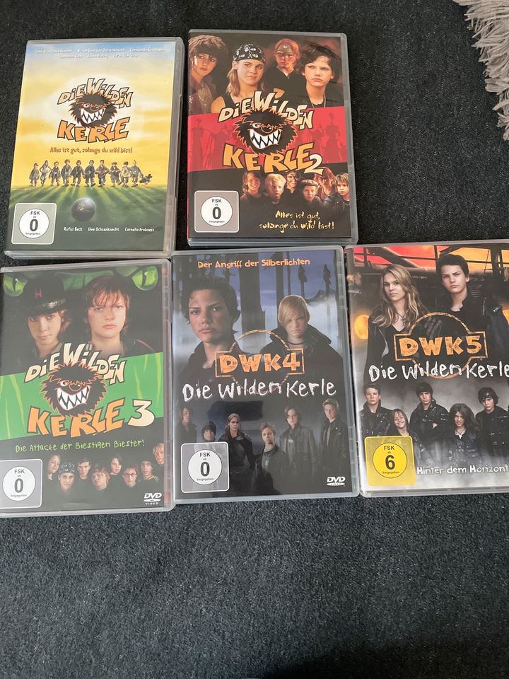 DVD Sammlung in Oranienburg