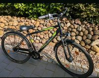 Fahrrad Pegasus Schleswig-Holstein - Nortorf Vorschau