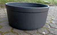 Pflanzschale Hydrokultur geeignet 50cm Pflanzkübel Westerwaldkreis - Rückeroth Vorschau