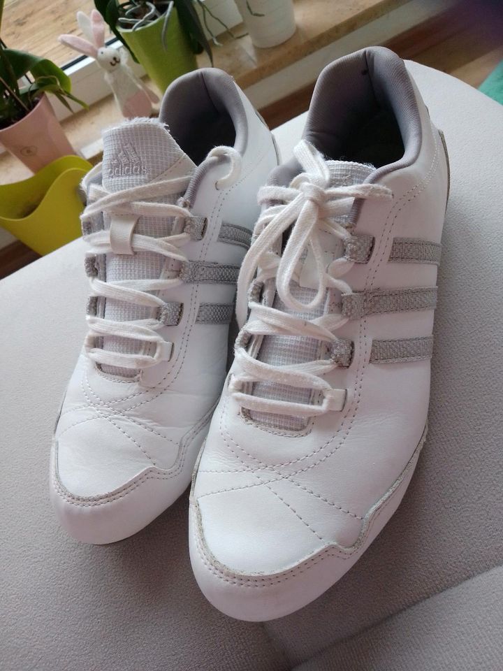 Sneaker von Adidas, Gr 39 in Colditz