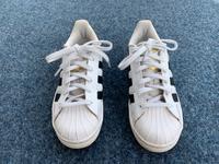 ADIDAS Damen Superstar Original Sportschuhe, Gr. 37 1/3 München - Bogenhausen Vorschau
