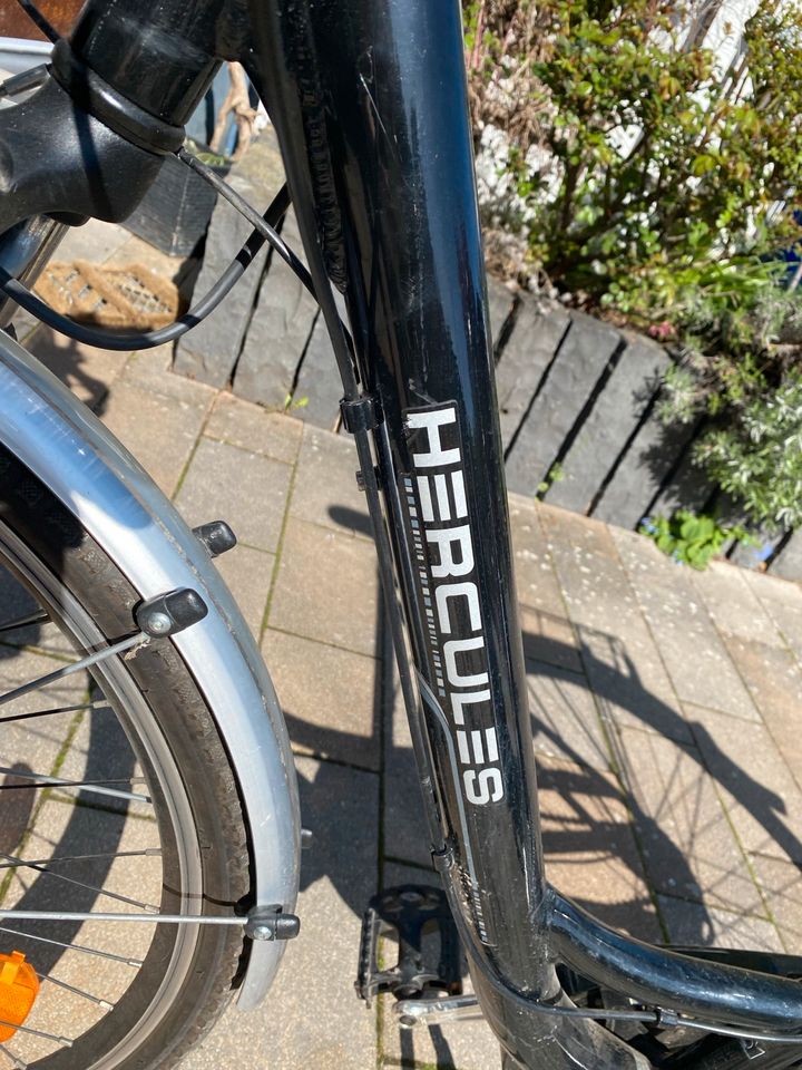 Herkules Damen City Bike in Bodenheim