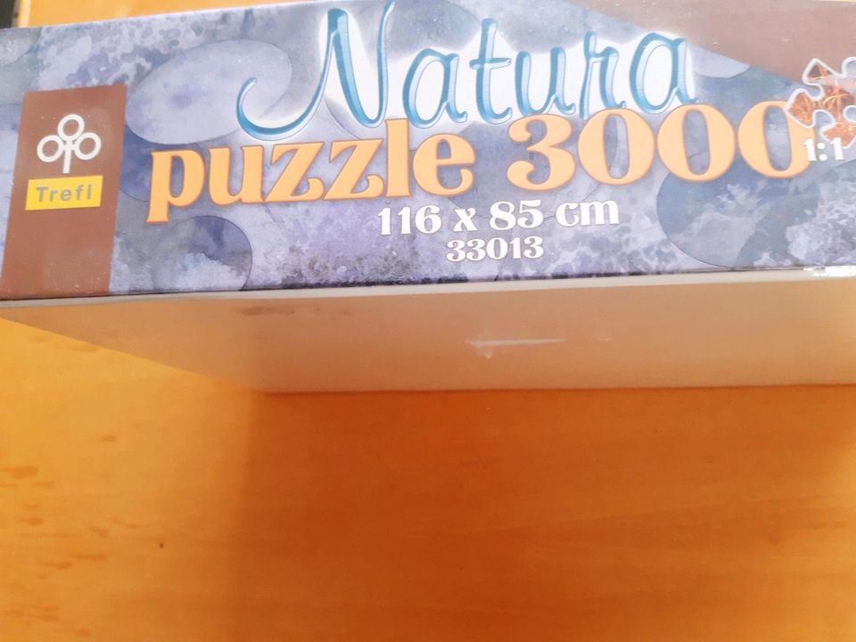 Puzzle 3000 1:1 in Dortmund