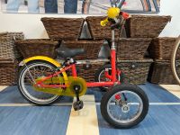 Trike Dreirad, Therapie Fahhrad Kinderfahrrad 16 Zoll Nordrhein-Westfalen - Mönchengladbach Vorschau