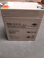 Batterie   Moped  Rollerbatterie 12v/5,2ah Bayern - Dinkelscherben Vorschau