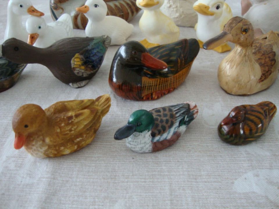 Sammlung Ente Enten Figuren Entenfiguren in Bad Oldesloe