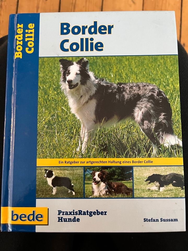 Border Collie Buch Bede Praxisratgeber Stefan Sussam in Quierschied