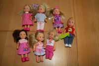 Barbie Puppe Evi Love Kinder Junge Mädchen Hessen - Neuberg Vorschau